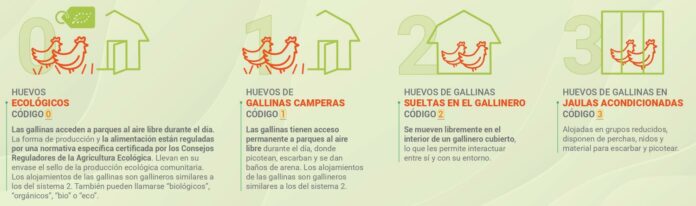 Inprovo_Nuevo-codigo_2024-comercializacion-huevos 2