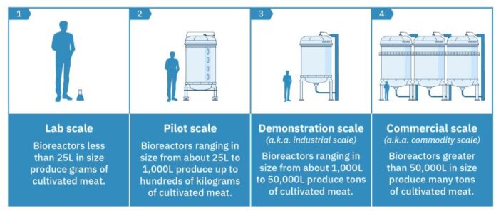 carne-artificial-fabricacion-1