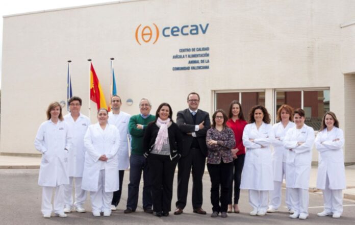 cecav-valencia-EQUIPO-HUMANO