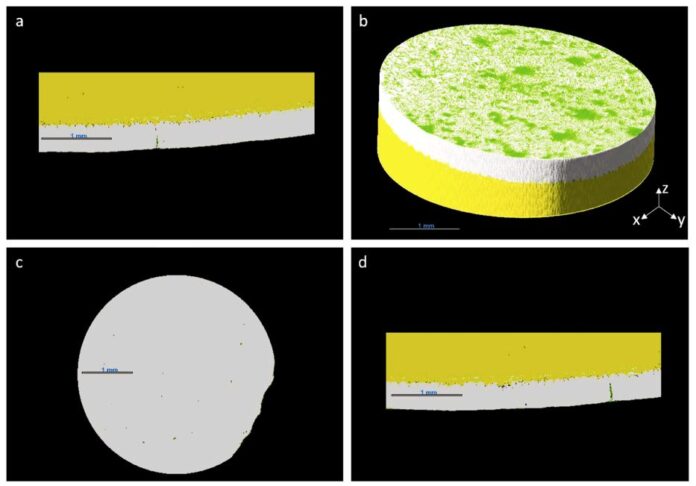 desinfeccion de huevos por electropulverizacion 4