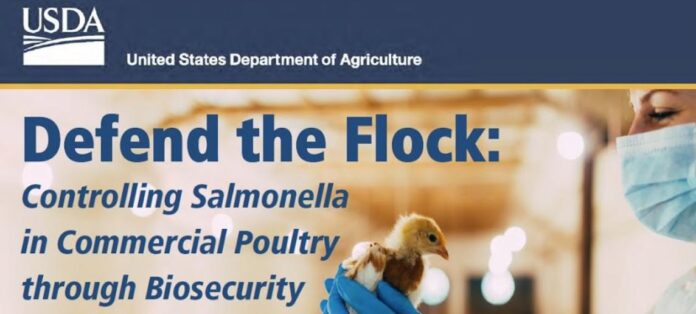 salmonella-in-usa-2