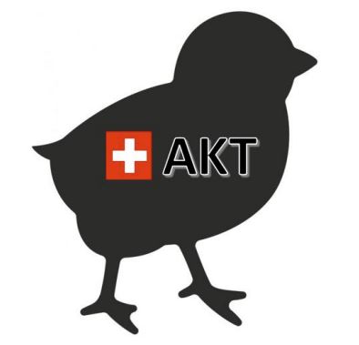 sexaje-in-ovo-suiza-1