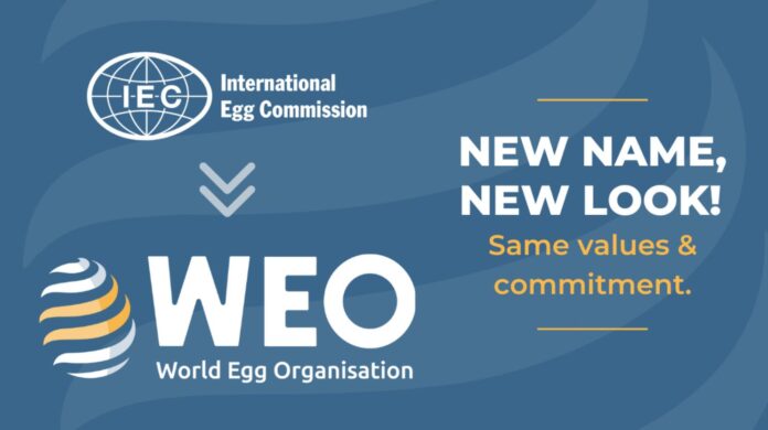 WEO-antigua-IEC-rebranding-20250109-ext