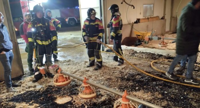 Bomberos en la nave de pollos de Coomonte de la Vega, Zamora.