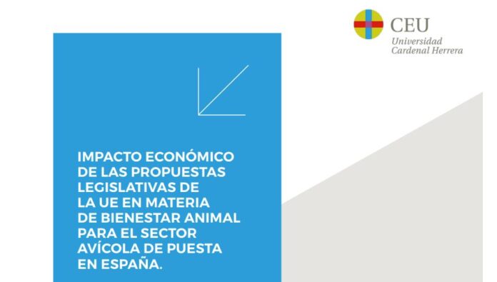 portada-informe-sobrecostes-del-bienestar-animal-en-sector-huevo-202406