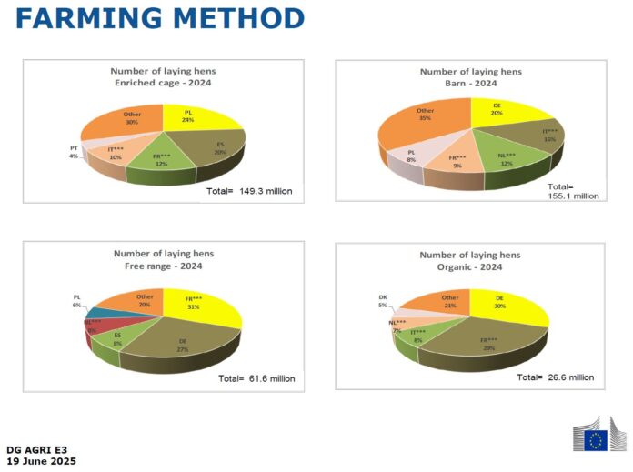 poultry-EGG-dashboard-20250619-farming-dashboard