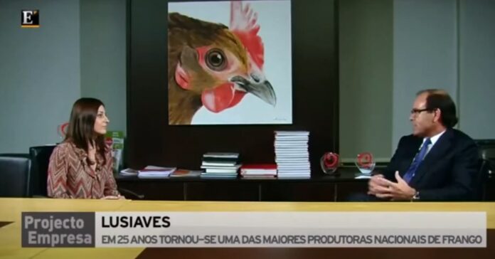 lusiaves-portugal-entrevista-al-CEO-Avelino-Gaspar-20220824