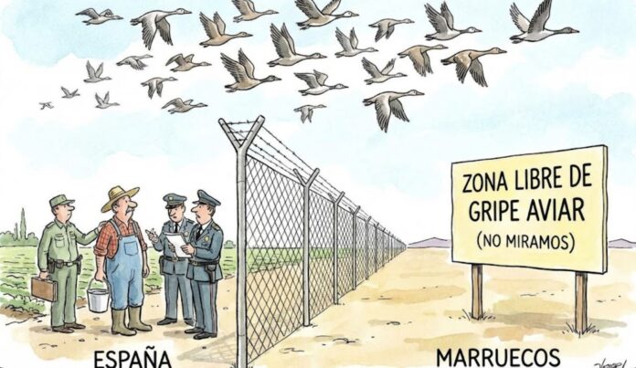 anatomía-molecular-de-dos-brotes-virales-en-Espana-by-Javier-Gamboa-7