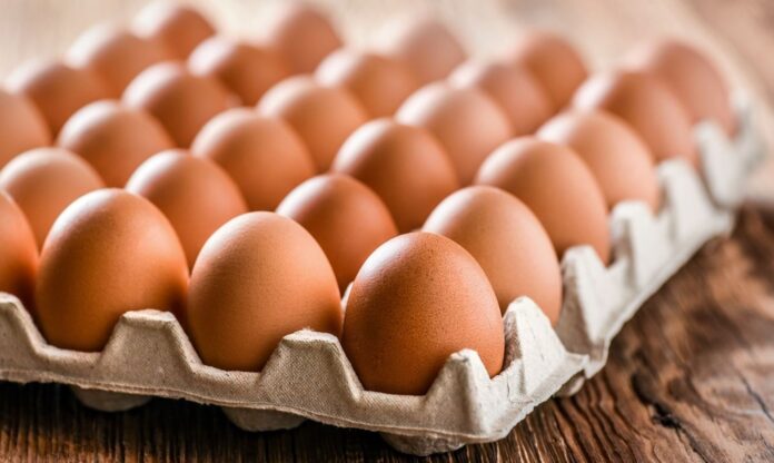 carton-de-huevos
