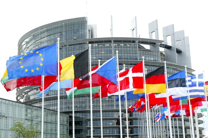 bruselas