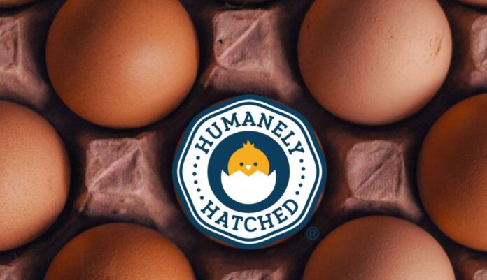 sexado-in-ovo-humanely-hatched
