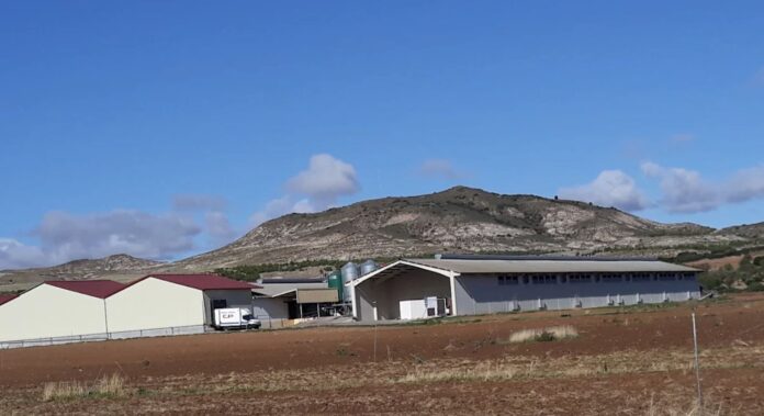 Granja-Avicola-C-Padrino-Cabanillas-del-Campo-propiedad-de-HEVO-GROUP-DESDE-2026-1